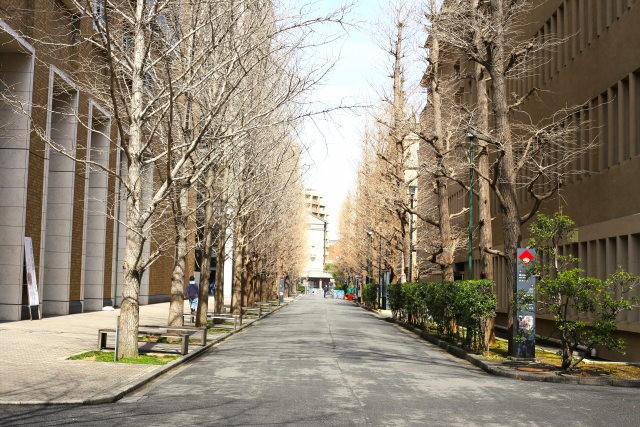 【徹底比較】早慶上理狙いにおすすめの予備校はここだった！