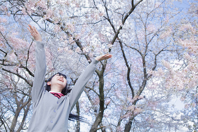 東進の合格実績2024年度版！実績の基準や合格者の声を紹介