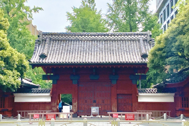 【徹底比較】旧帝大狙いにおすすめの大手予備校はここ