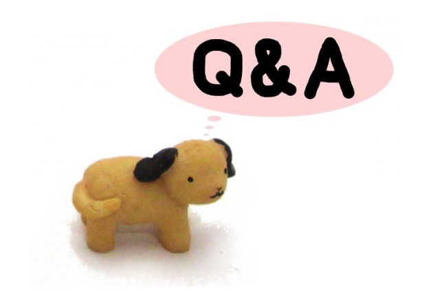 Q&Aの文字と犬のぬいぐるみ